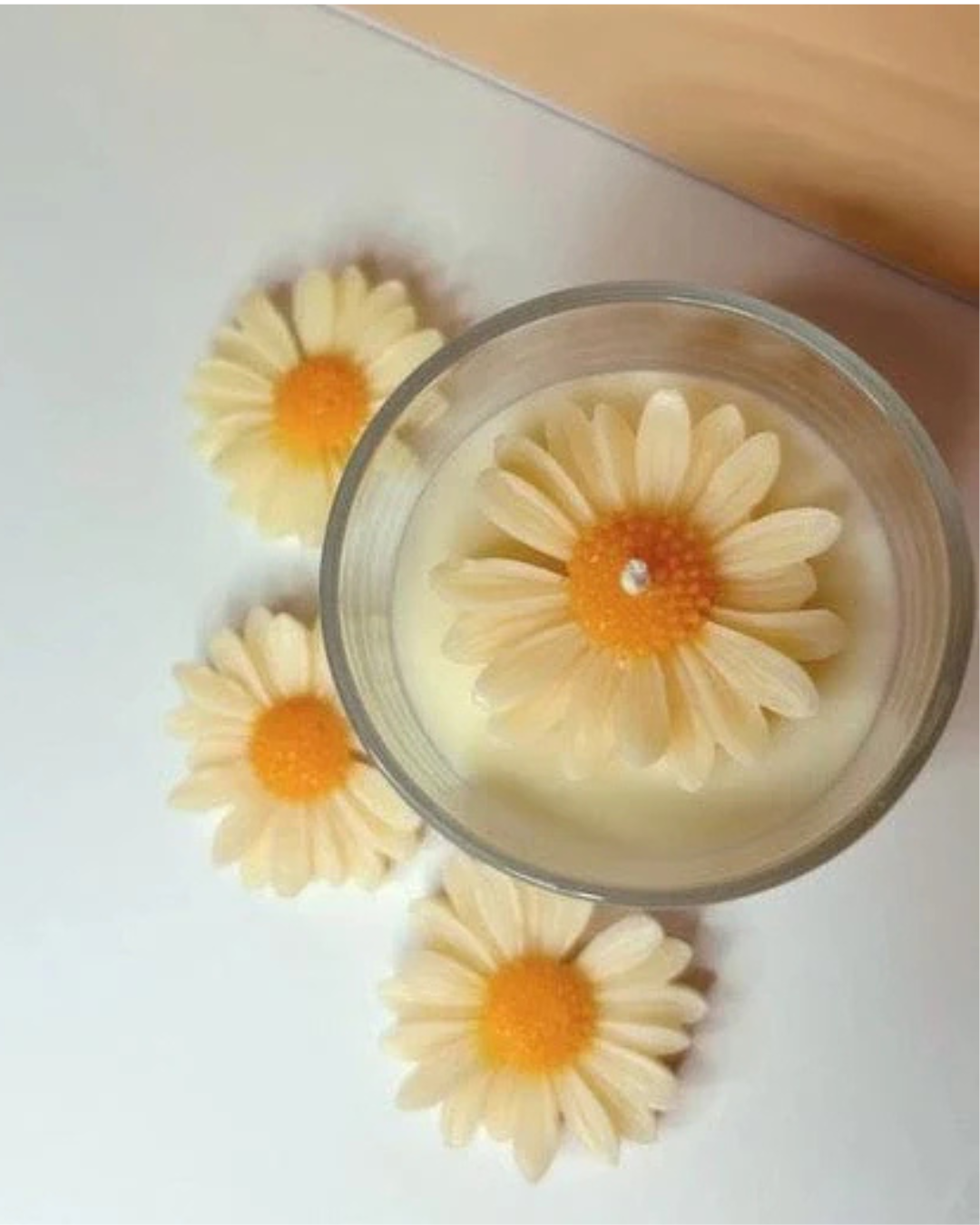 Daisy Crown Murphy Jar Candle
